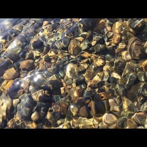 Meet your Posher, Aleena